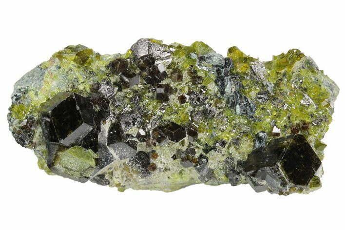 Magnetite, Diopside, Garnet & Biotite Association - Afghanistan #121363